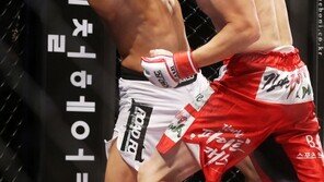 데뷔전 KO승 김대환 누구?, 격투계 브래인…이론·실기 능통