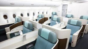 조현아 사무장에게 사과 쪽지…대한항공 매뉴얼 보니 ‘견과류 규정 없어’