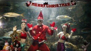 아쿠아플라넷일산, 63스퀘어 크리스마스 이벤트