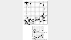 [바둑]제58기 국수전… 좌하귀를 버린 흑
