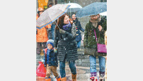 눈 그친 뒤… 전국이 ‘꽁꽁’