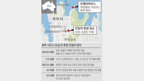 카페 窓에 아랍어 검은 깃발… ‘외로운 늑대’ 소행에 무게