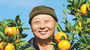 “1년 시한부 선고후 7년… 날 살린건 못난이 감귤”