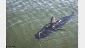 90m 잠수 로봇 물고기, 美 해군 “상어처럼 움직여”