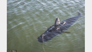미 해군이 공개한 90m 잠수 로봇 물고기, 용도는 정찰 활동?