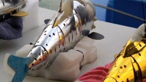 美 해군 90m 잠수 로봇 물고기 제작 성공, 다양한 용도 활용 기대