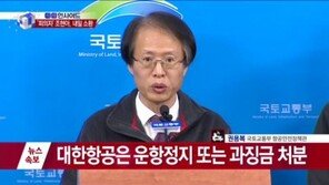국토부, 조현아 검찰 고발… 대한항공엔 운항정지 등 행정처분