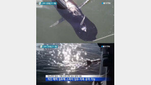 90m 잠수 로봇 물고기, 상어처럼 움직이며…미 해군 “ISR 활동에 유리”