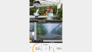 스마트폰으로 온실 온도-습도 조절… ICT 접목한 ‘스마트팜’ 대폭 확대