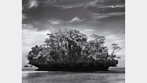 [Arts&]GENESIS, 세바스치앙 살가두 2014 한국전시회