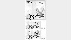 [바둑]제58기 국수전… 실수 86