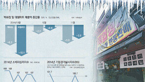 꺼져버린 ‘반짝 경기’… 내수침체 최소 3, 4년 지속될듯