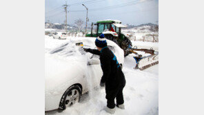 22cm 눈 펑펑 ‘雪國’ 강원도