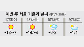 17일 최강 한파… 완전무장 하셨나요