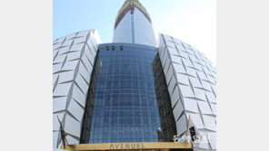 제2롯데월드 사망사고, 서울시 “재발 방지 대책 마련 때까지 사용 제한…”