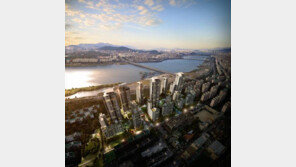 분양권 프리미엄 최고 6천만 원…반포 아크로리버파크, 마곡 힐스테이트 