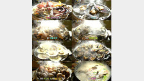 9단조개찜의 비밀… 어마어마한 높이에 보는 즐거움까지?