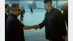 “김정일 사망, 특별열차 아닌 장녀집서 술마신뒤 쓰러져…”