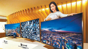 이 TV, 나온 지 1년도 안 돼 ‘안방극장 대세’