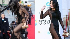 청룡영화제 노수람, 블랙 시스루 입고 아찔한 노출 ‘눈길’