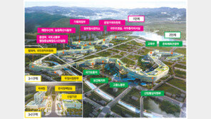 [세종시대]50개 정부기관 공무원-연구원 1만6000여 명 둥지 틀어