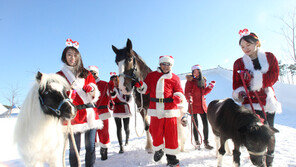 렛츠런파크 부경 “말테마 눈썰매장 즐기러 오세요”