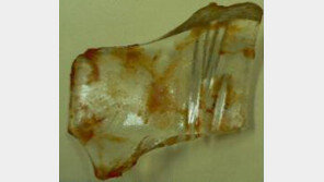 오뚜기 스파게티 소스서 길이 4.5cm 유리조각 나와