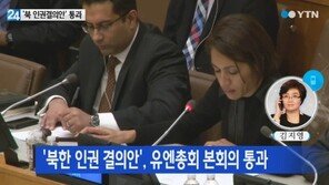 북한 인권 ICC 회부 결의안, 유엔총회 본회의 통과…北 입장은?