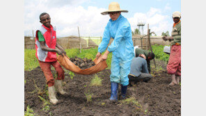[사회공헌 Together]LG, 최빈국 에티오피아에 ‘희망’ 심는다