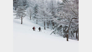 눈 많은 이번 겨울, 산-섬-해안 ‘눈꽃 왕국’ 3곳은 어디?