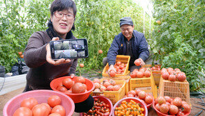 “SK 창조마을 덕에 농한기 없어요”