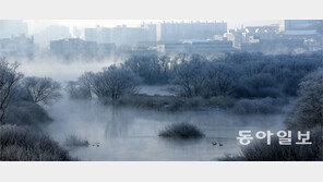 물안개 속 소양강 상고대… 한파가 만든 풍경