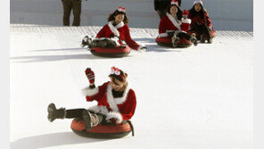 [부산/경남]부산에 국내 첫 말테마 눈썰매장