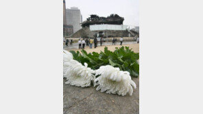 죽음 생각 때 걱정되는 것...‘가족의 처지-죽기전 고통’ 남녀 생각 달라 