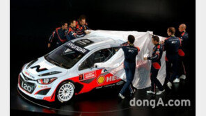 현대기아차 “M 전문가 불러 N 만들어 볼까?” 