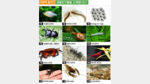 [신나는 공부/알림]12종류 생물이 매달 우리집으로