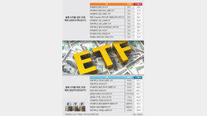 中-印 뜀박질, 러-브 곤두박질