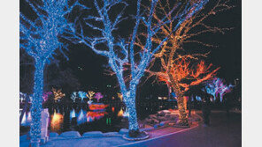 [광주/전남]69일간 밝혀질 황홀한 여수 ‘빛바다’