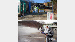 “구제역,문경 뚫리면 경북 전체 위험”… 혹한속 방어선 사수