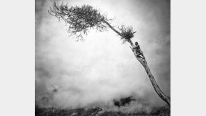 [세바스치앙 살가두 GENESIS展]‘원시’ 파푸아… 5000년 전으로의 시간여행