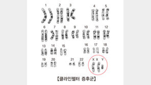 ‘母子 사망’ 클라인펠터증후군이란? XXY 염색체 이상…증상보니?