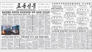 북한 인터넷망 복구, 북한 공식 도메인은 ‘.kp’?