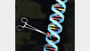 클라인펠터 증후군, 母子 죽음 내몰았나…‘XXY 염색체’ 유전병 증상은?