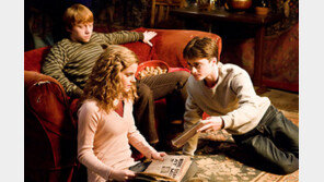 성탄특선영화 ‘나홀로집에’ 볼까 ‘해리포터’ 볼까?