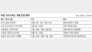 [수도권]크리스마스 콘서트 보고 빛 축제 즐겨요 