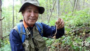 21세기 심마니에겐 터부란 없다