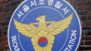 [단독] 명동서 서초경찰서까지 4시간 걸어온 中관광객…무슨일?