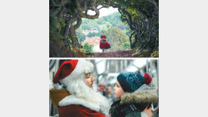 ‘숲 속으로’ 동화 속 노래 대잔치, ‘노엘의 선물’ 프랑스판 ‘나 홀로 집에’ 