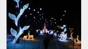 크리스마스 증후군 극복법 “산책과 야외 활동”