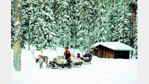 女학생, 100년 전 산타에게 보낸 편지에 선물 리스트…알고보니 반전 결과?